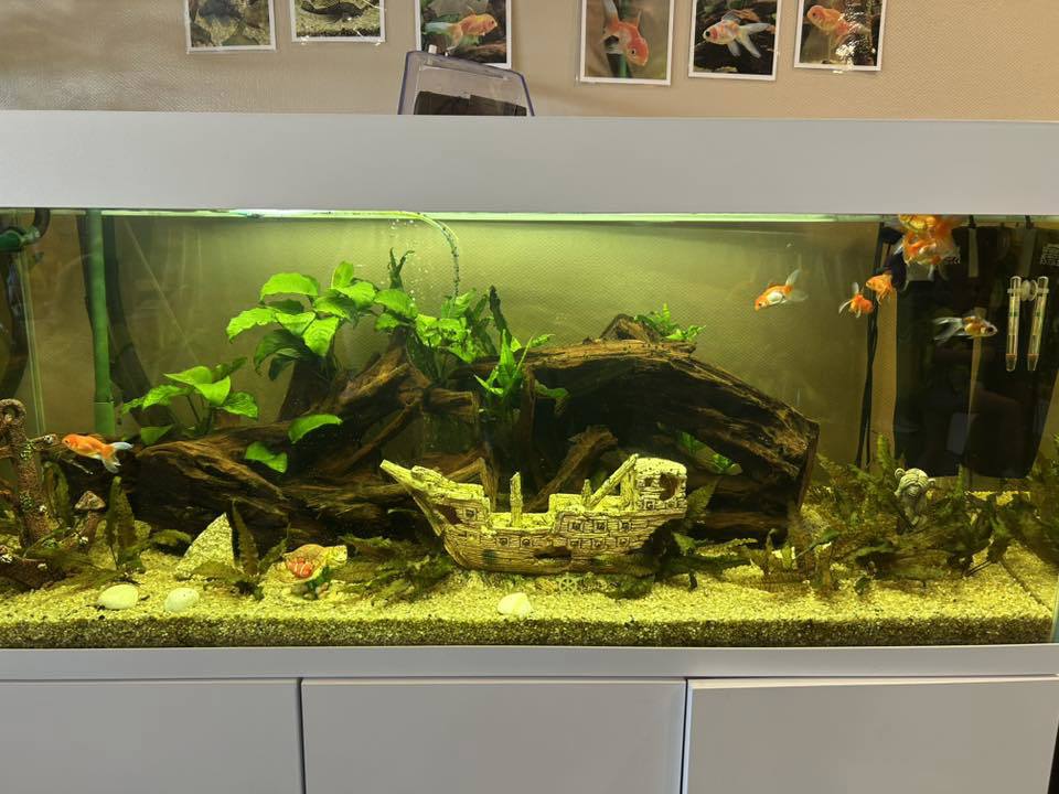 Akvarium